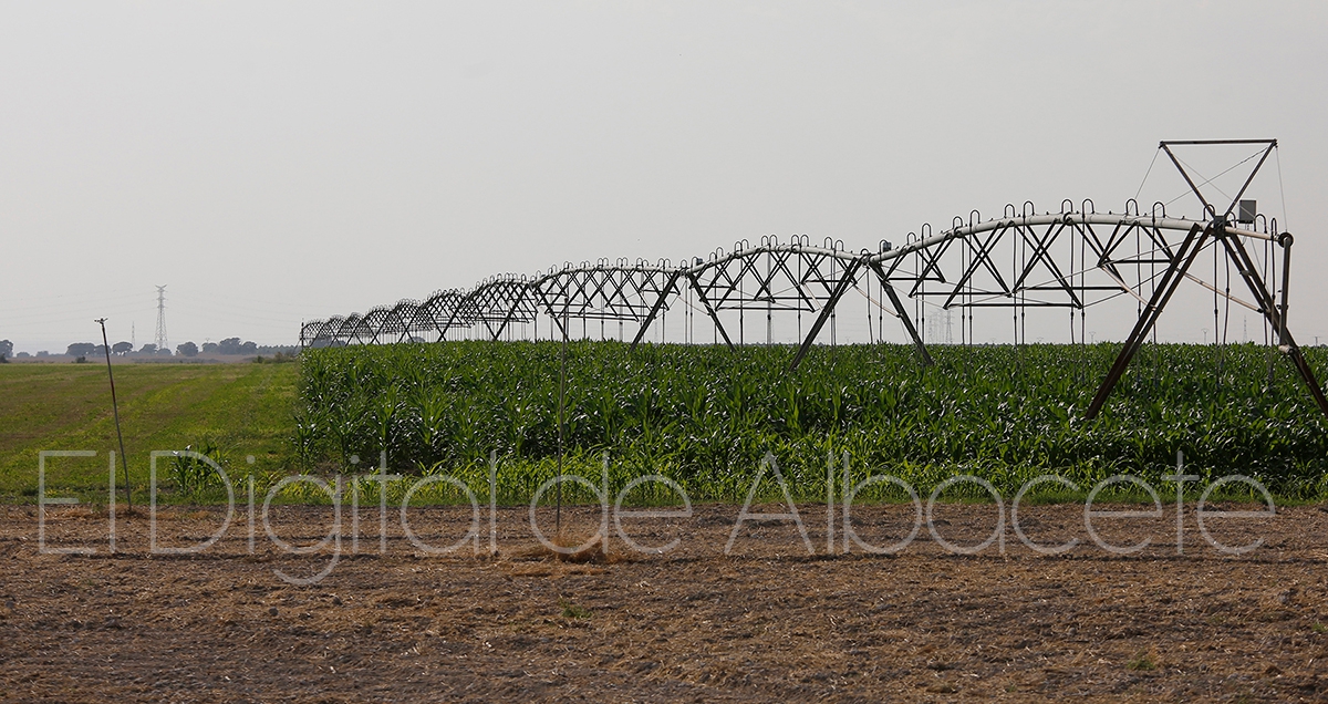 Noticias Castilla-La Mancha