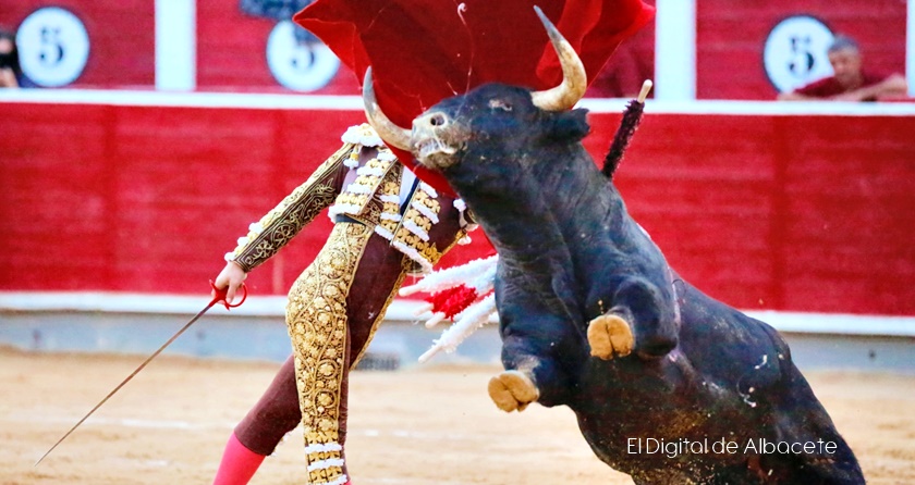 Coronavirus | ganaderos de toros bravos de castilla-la mancha confían en que haya festejos taurinos