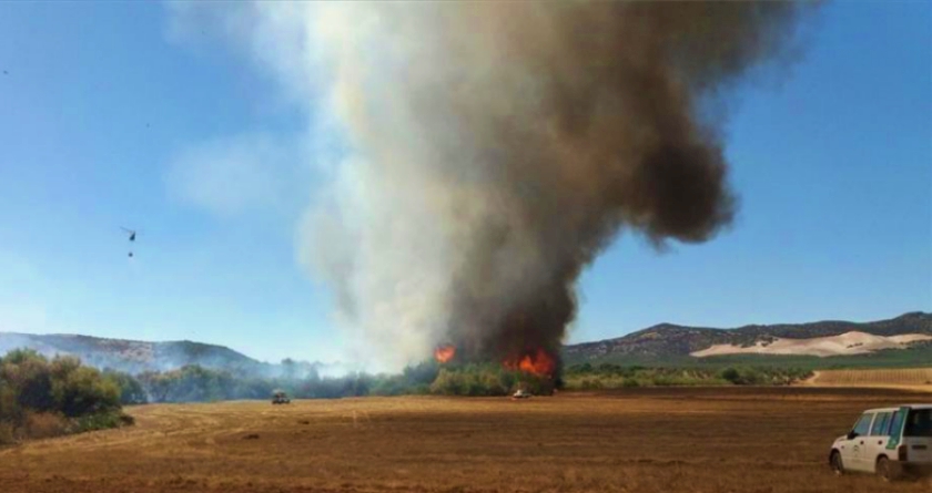 noticias castilla-la mancha