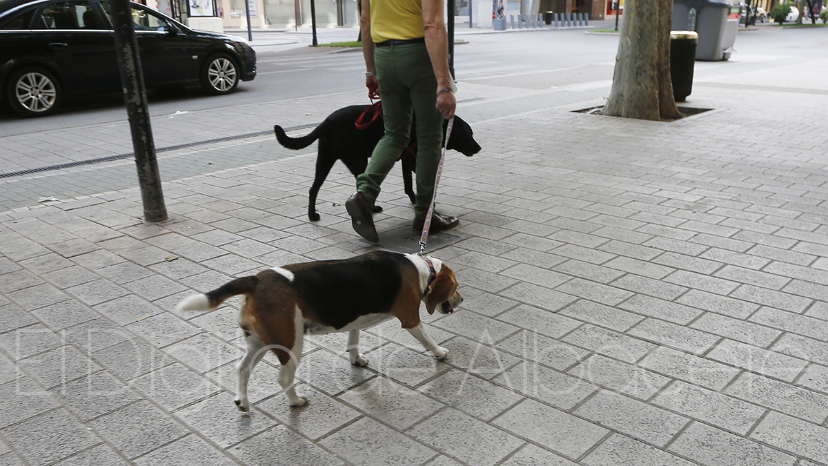 Noticias Albacete