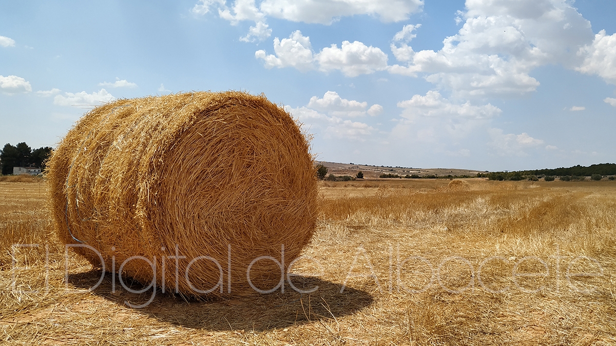 noticias albacete agricultura