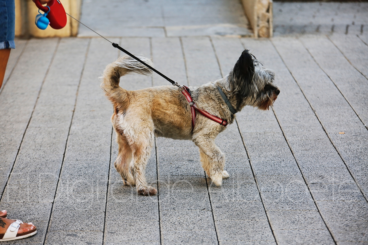noticias albacete