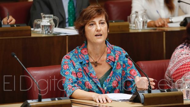 Carmen Fajardo, concejal de Unidas Podemos en el Ayuntamiento de Albacete, en una foto de archivo