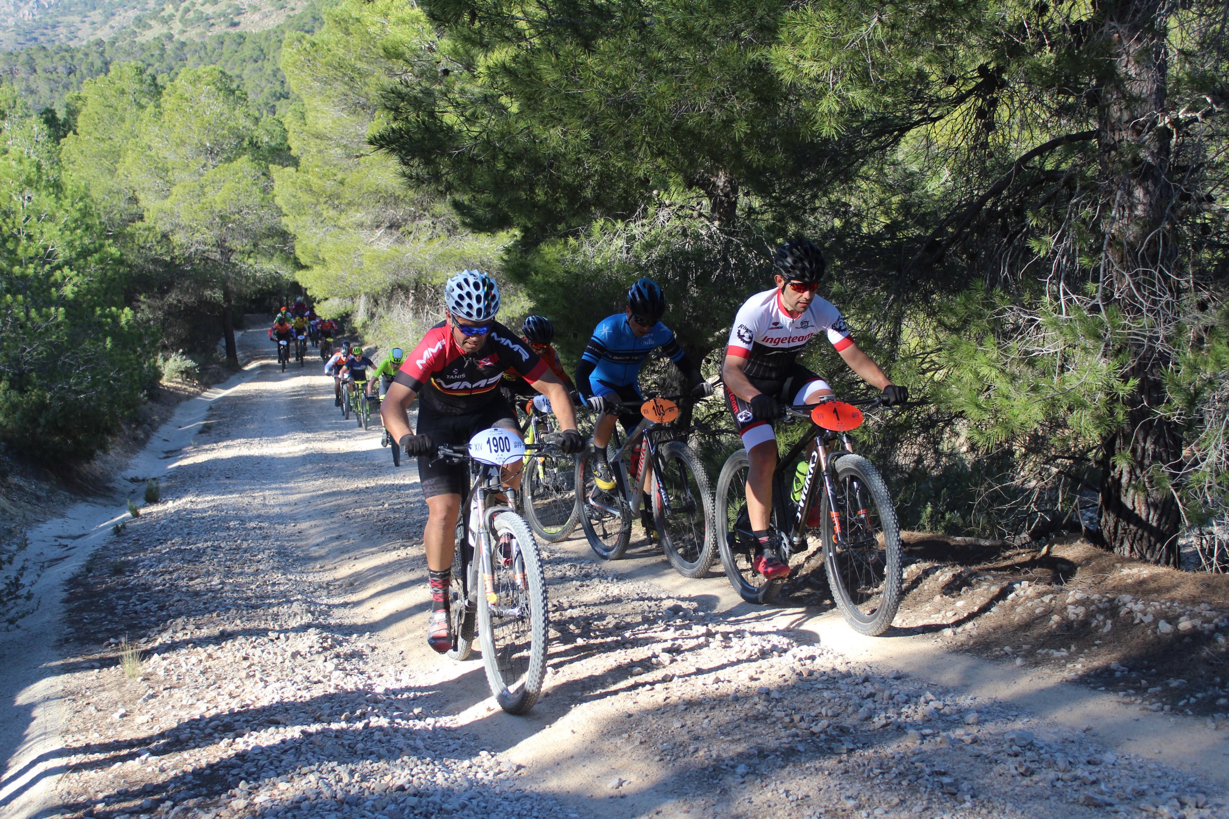 noticias deporte btt albacete