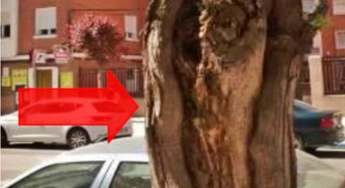 noticias albacete