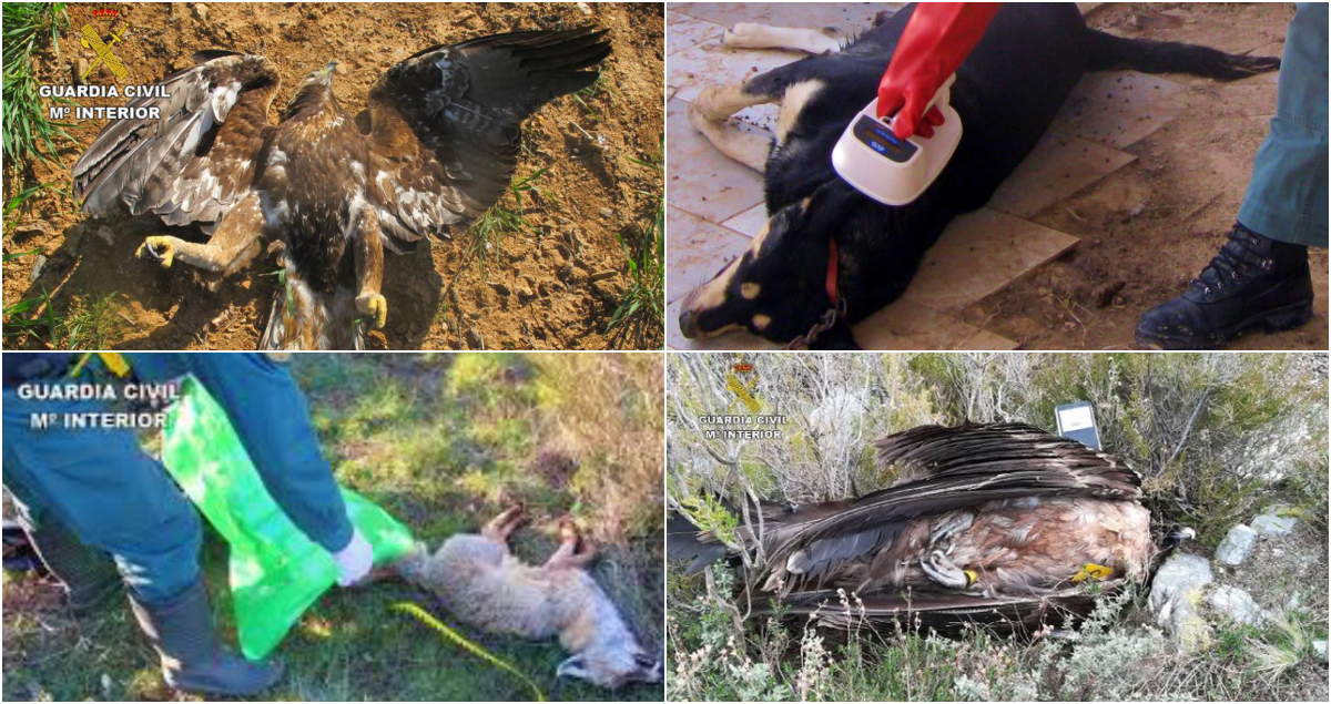 Noticias Castilla-La Mancha