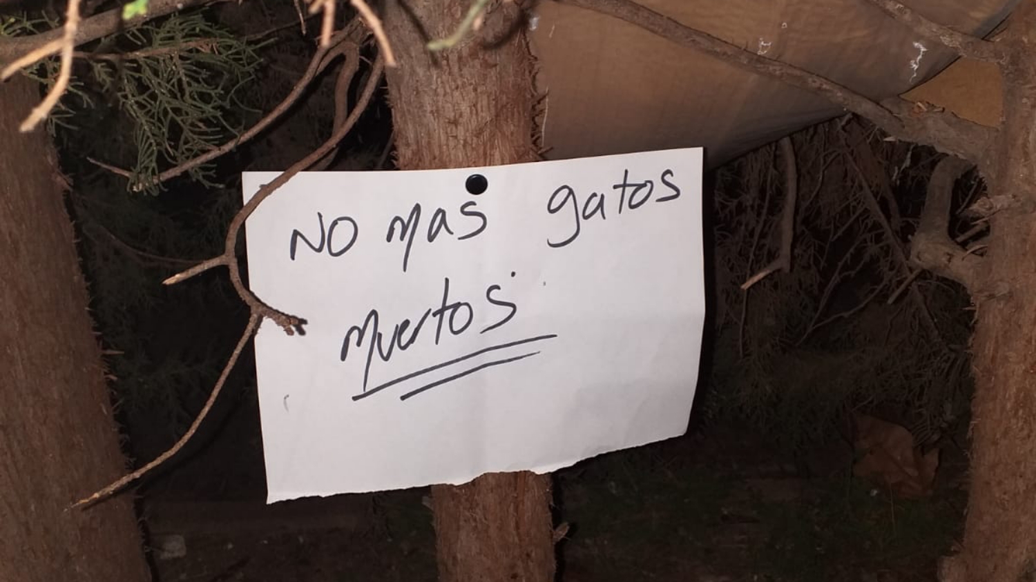 Noticias Albacete Sucesos