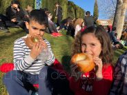 Noticias Albacete