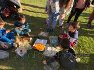 Noticias Albacete