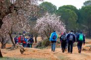 Villalgordo del Jucar noticias