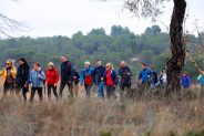 Villalgordo del Jucar noticias