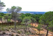 Villalgordo del Jucar noticias
