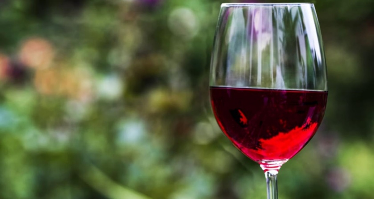 noticias vino