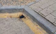Noticias Albacete