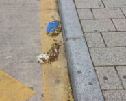 Noticias Albacete