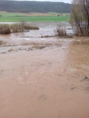 Noticias Castilla-La Mancha