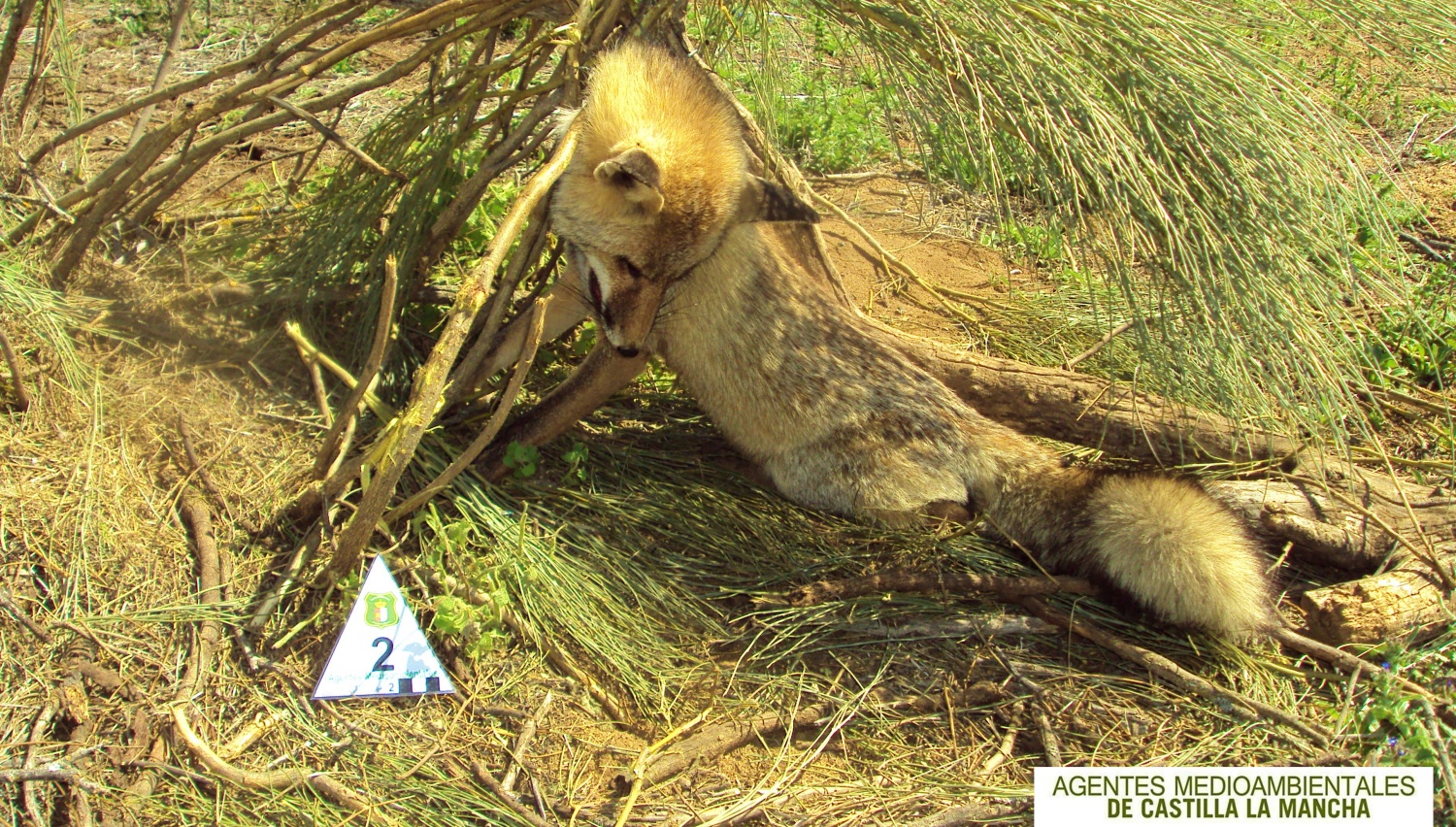 Noticias Castilla-La Mancha