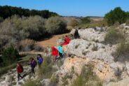 Noticias Madrigueras