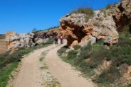 Noticias Madrigueras