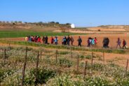 Noticias Madrigueras