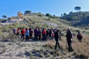 Noticias Madrigueras