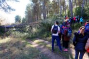Noticias Madrigueras