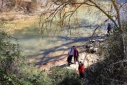 Noticias Madrigueras