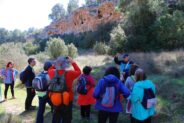 Noticias Madrigueras