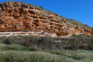 Noticias Madrigueras