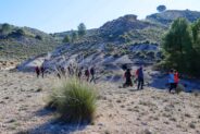 Noticias Madrigueras