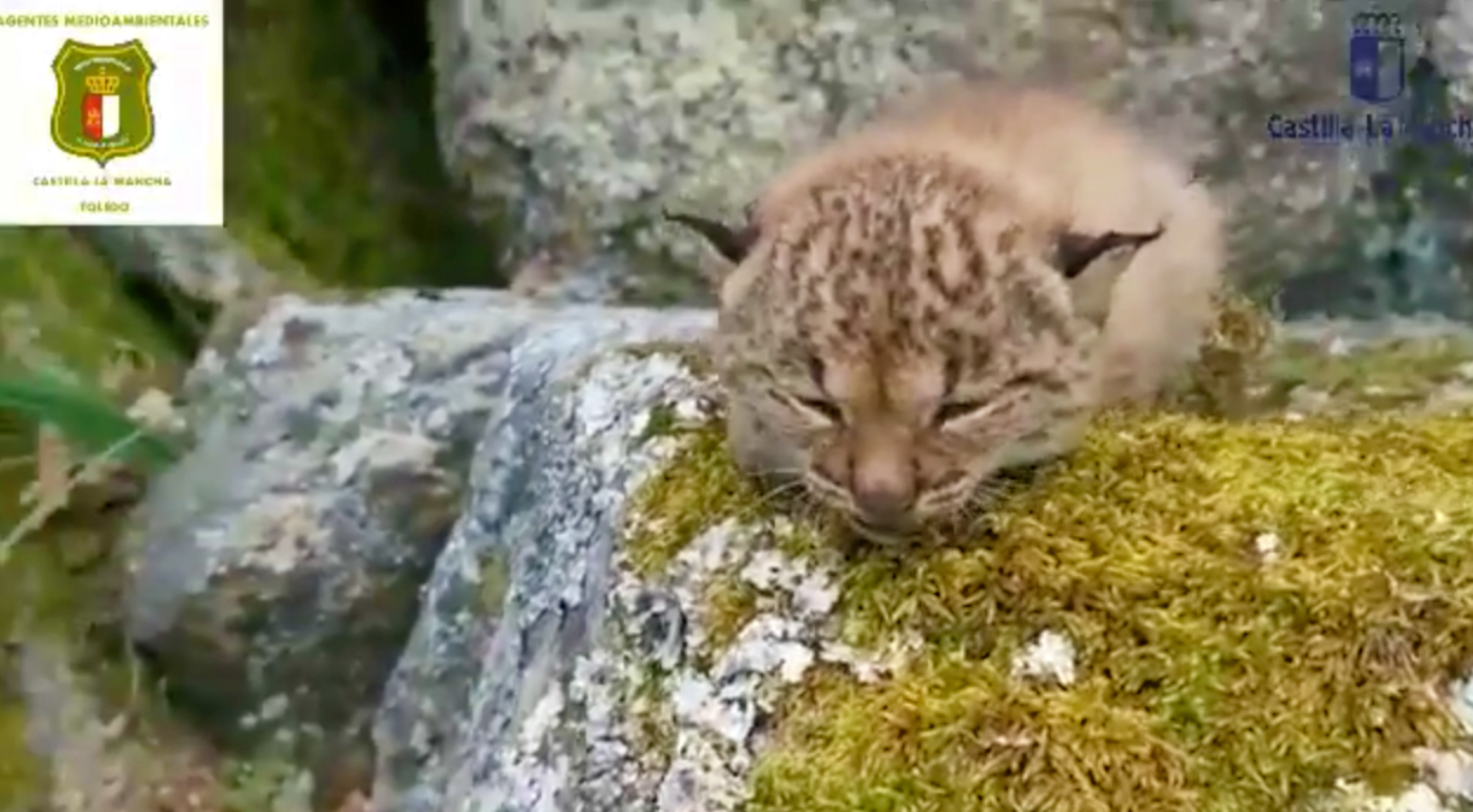 Noticias Castilla-La Mancha