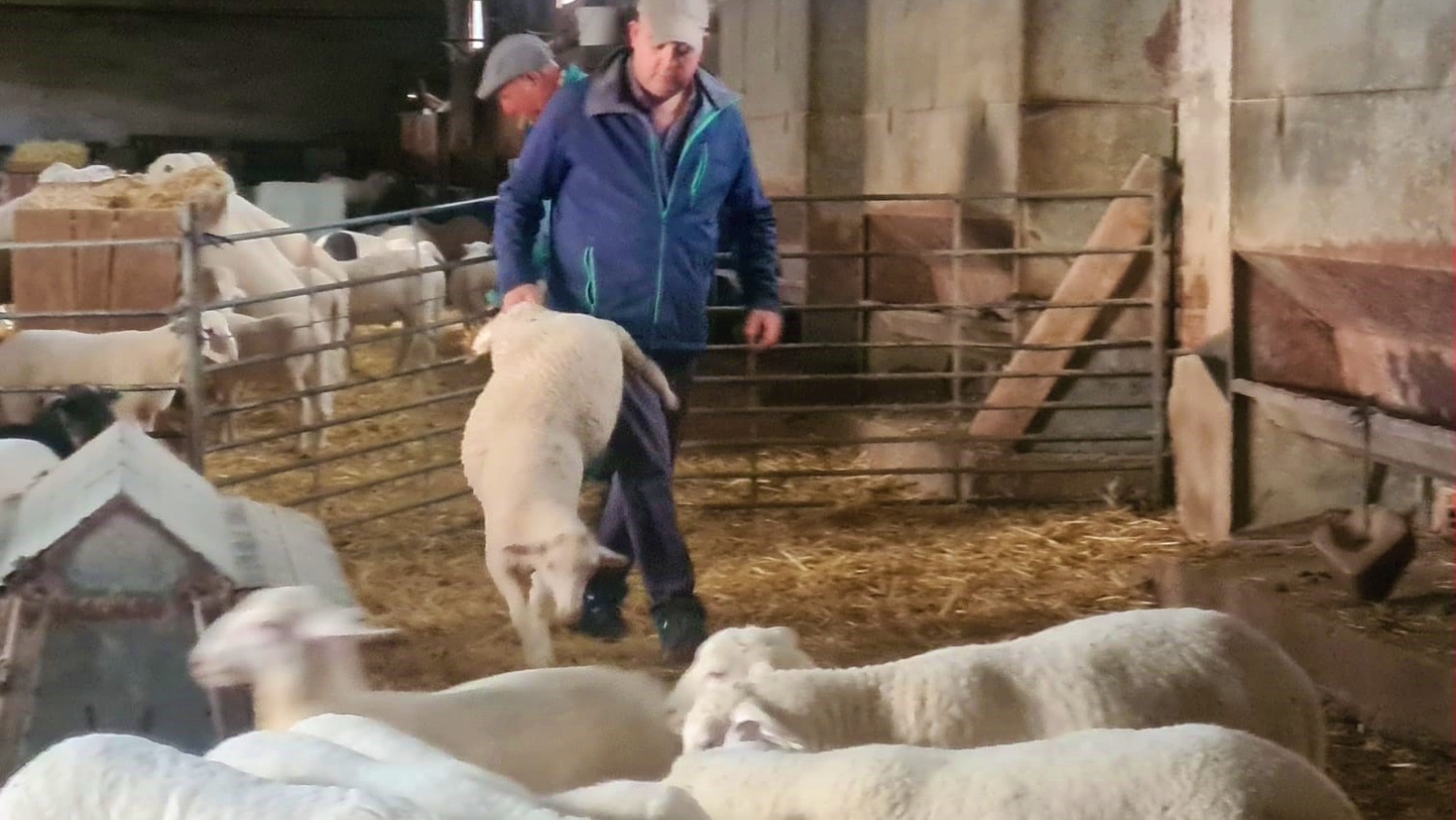 Noticias Castilla-La Mancha