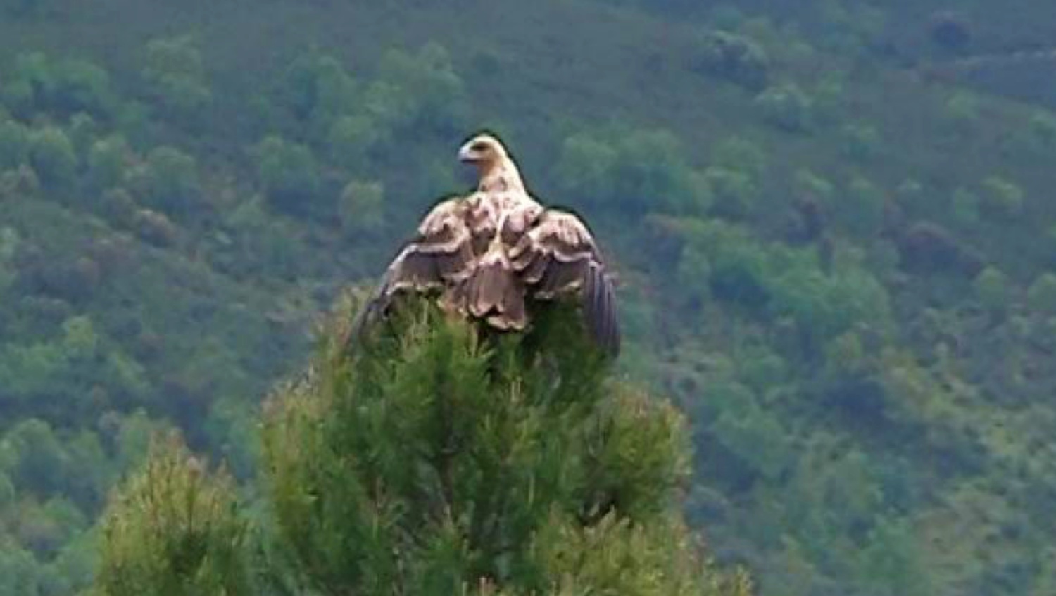 Noticias Castilla-La Mancha