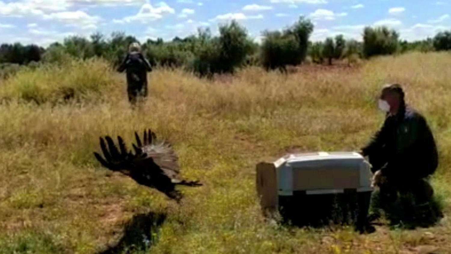 Noticias Castilla-La Mancha