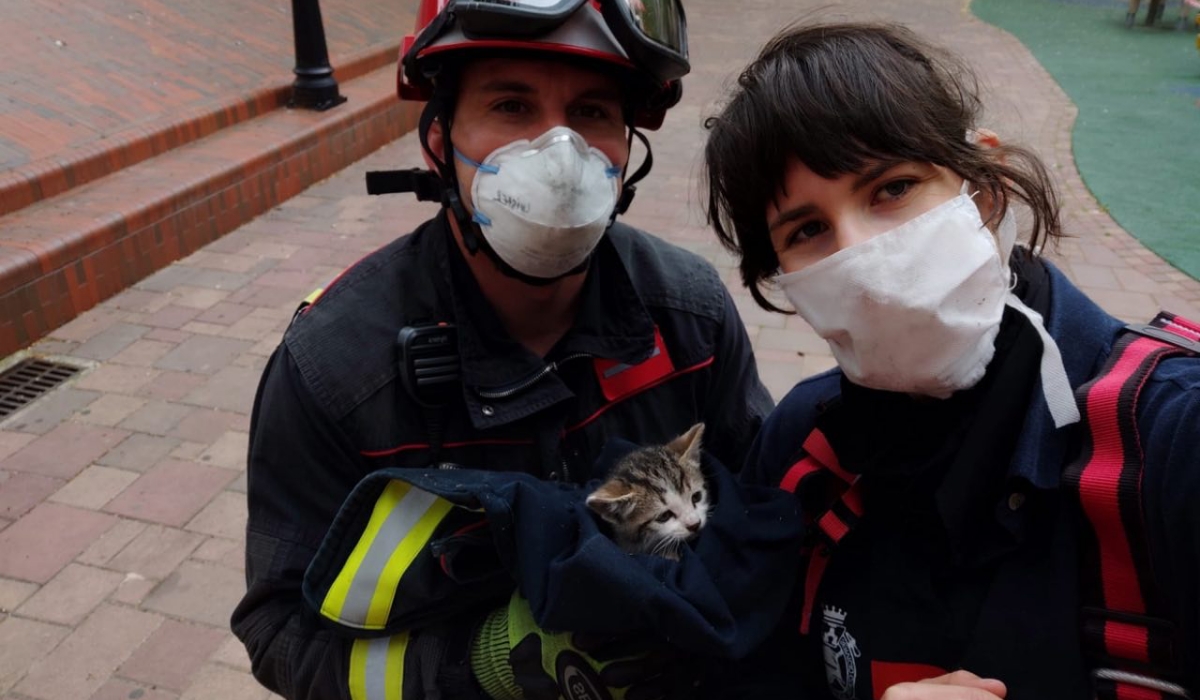 noticias albacete