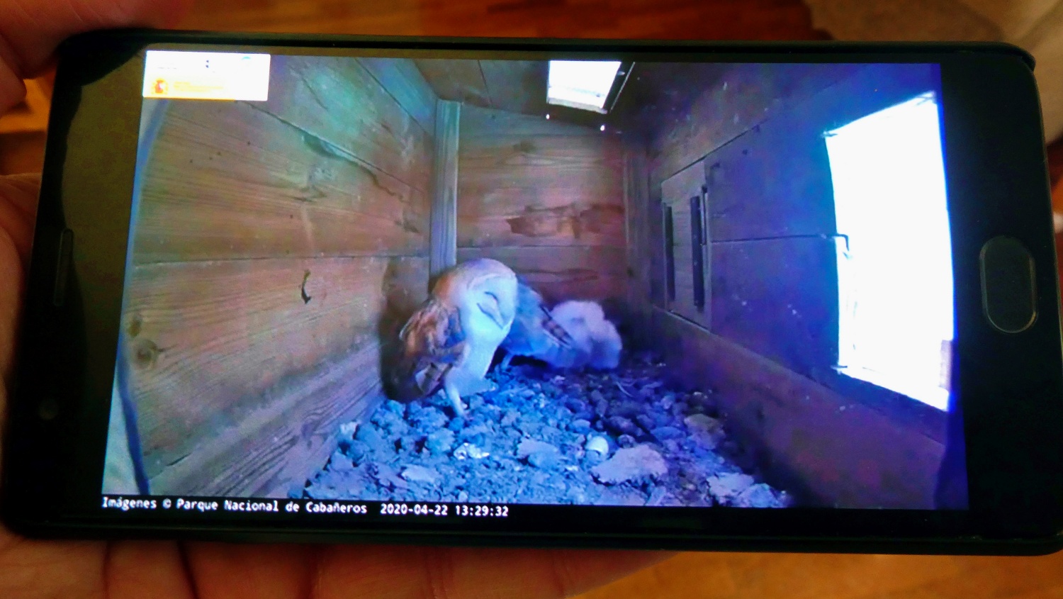 Noticias Castilla-La Mancha