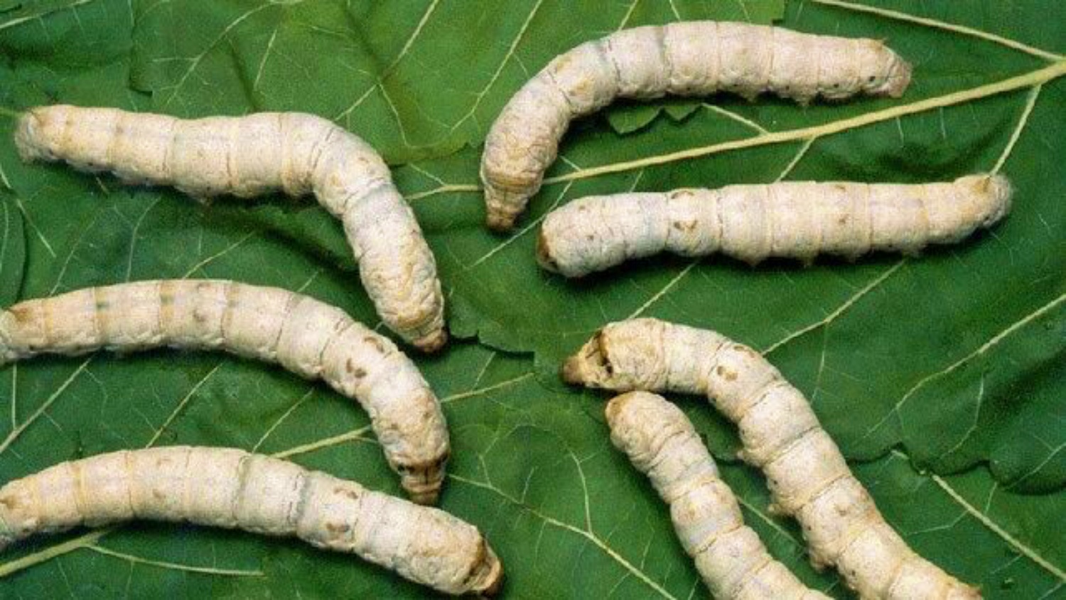 Noticias Castilla-La Mancha