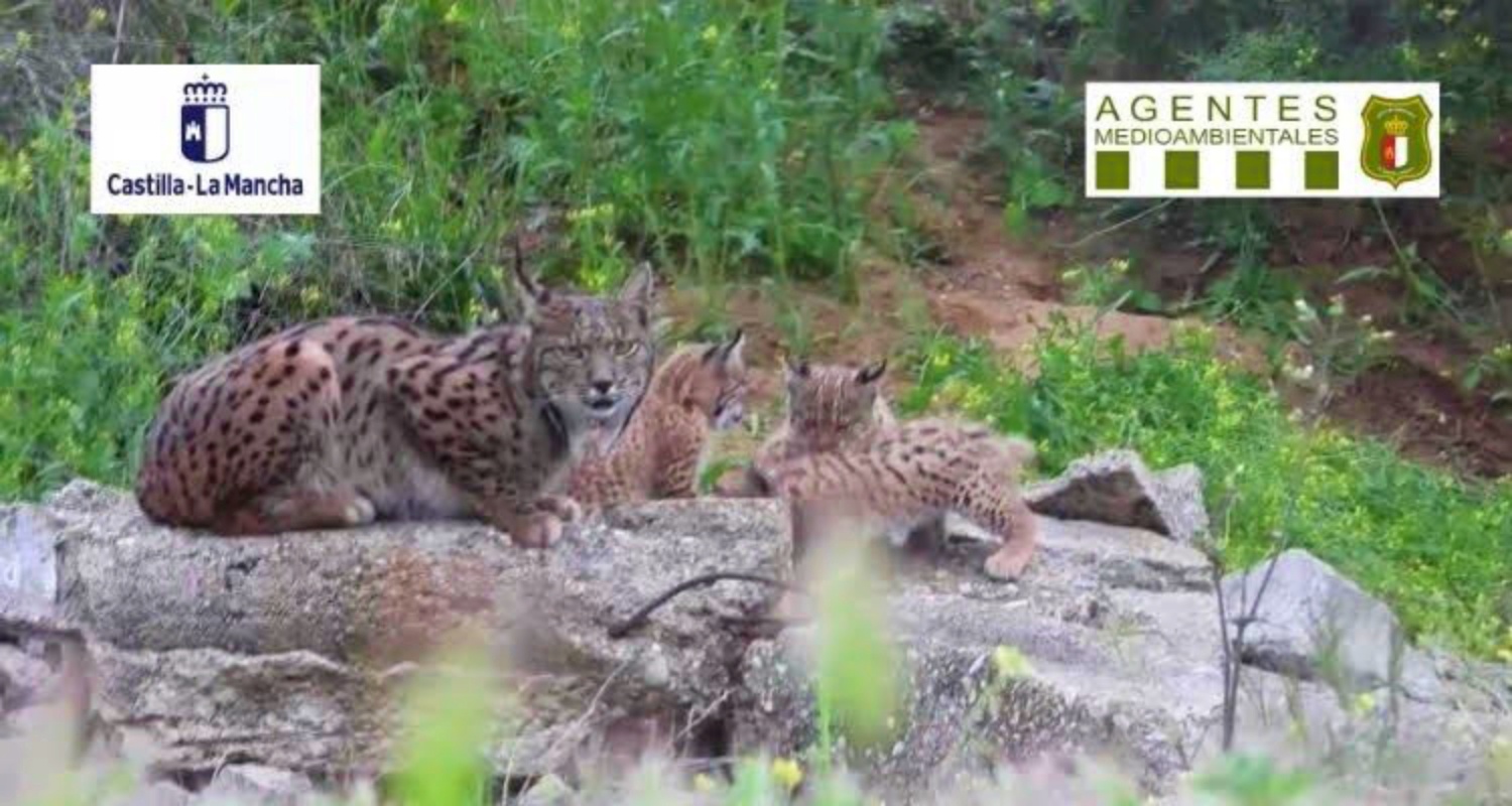 Noticias Castilla-La Mancha