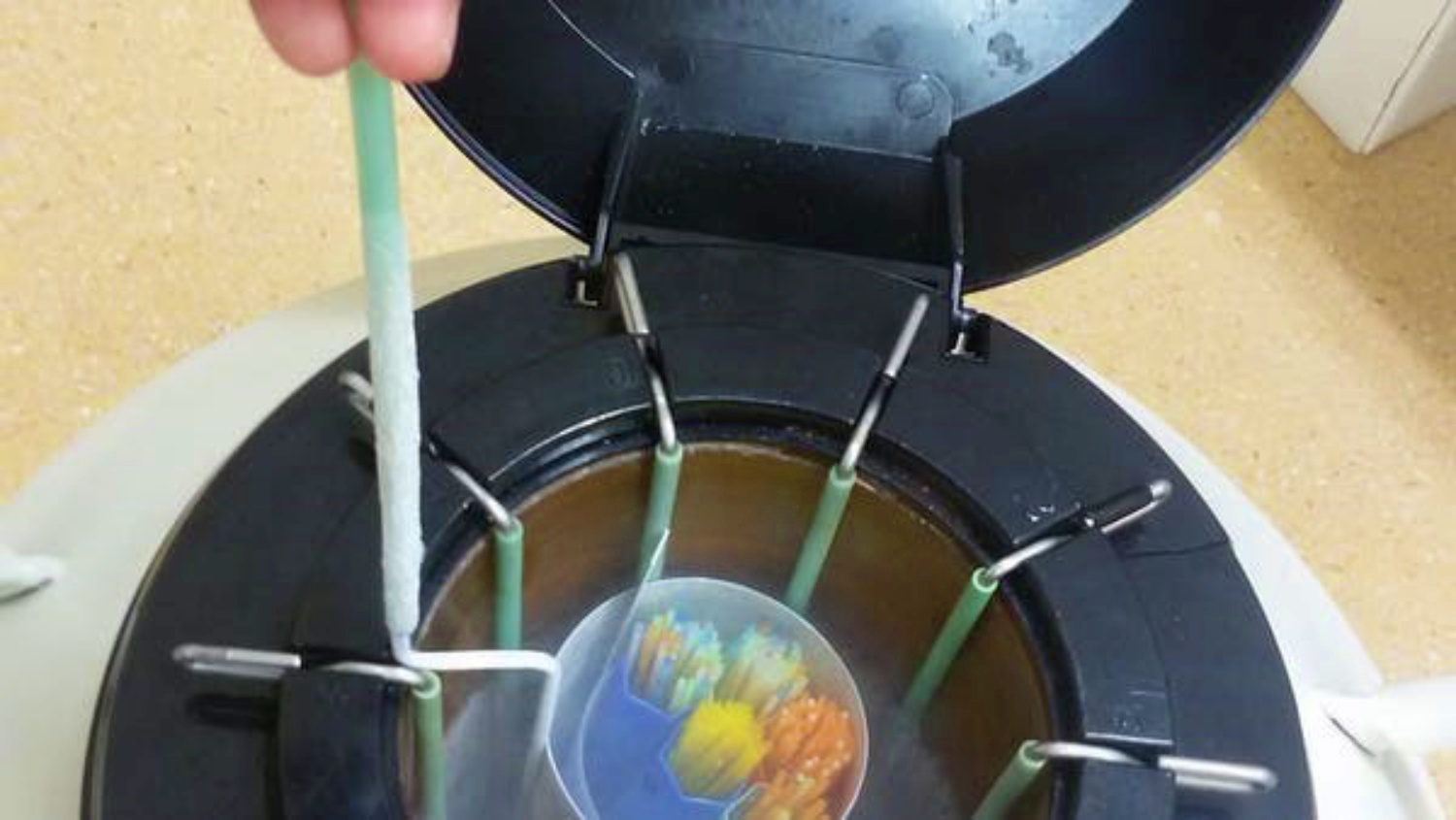 Noticias Castilla-La Mancha