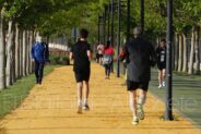 noticias albacete