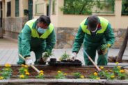 Noticias Albacete