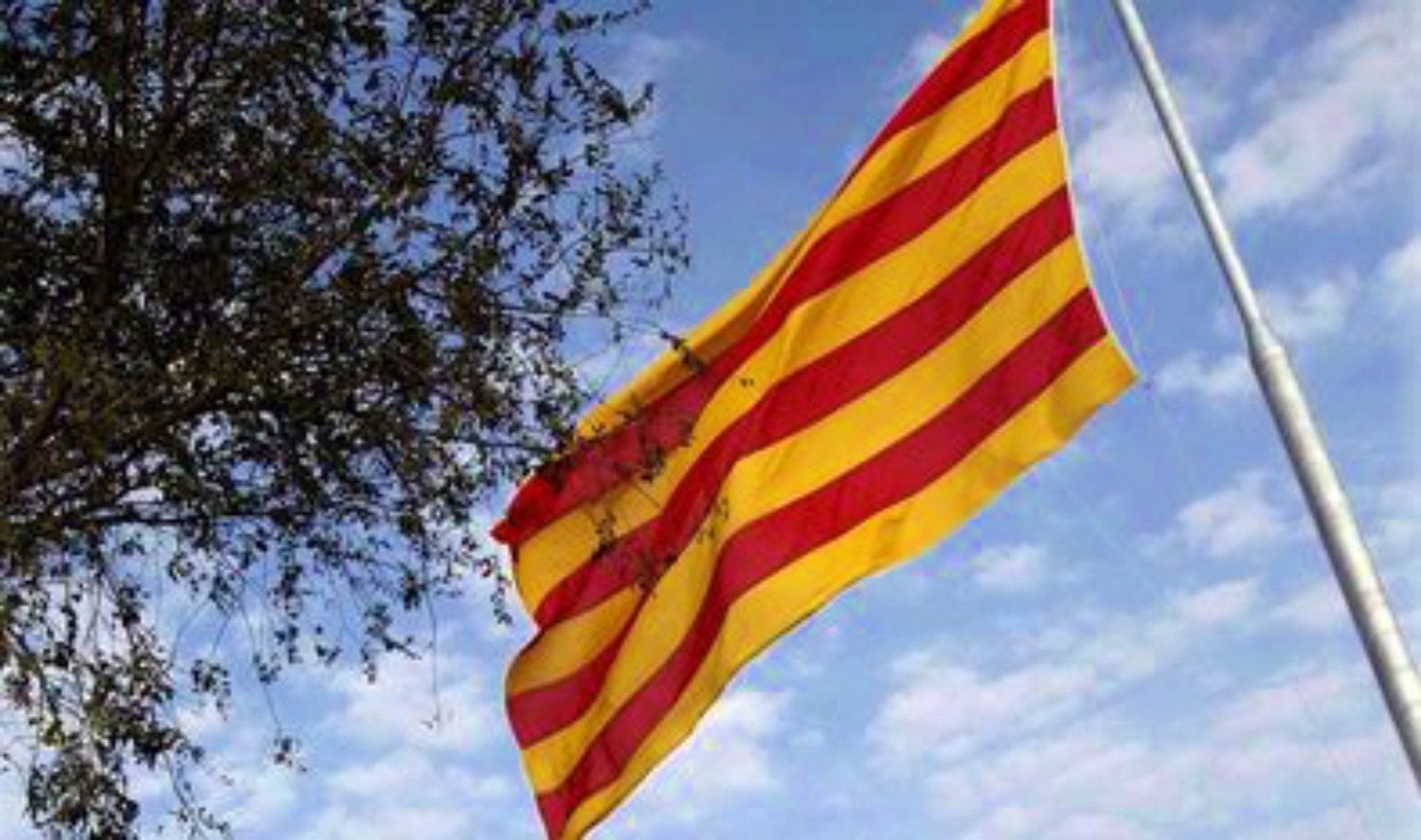 Noticias castilla-la mancha