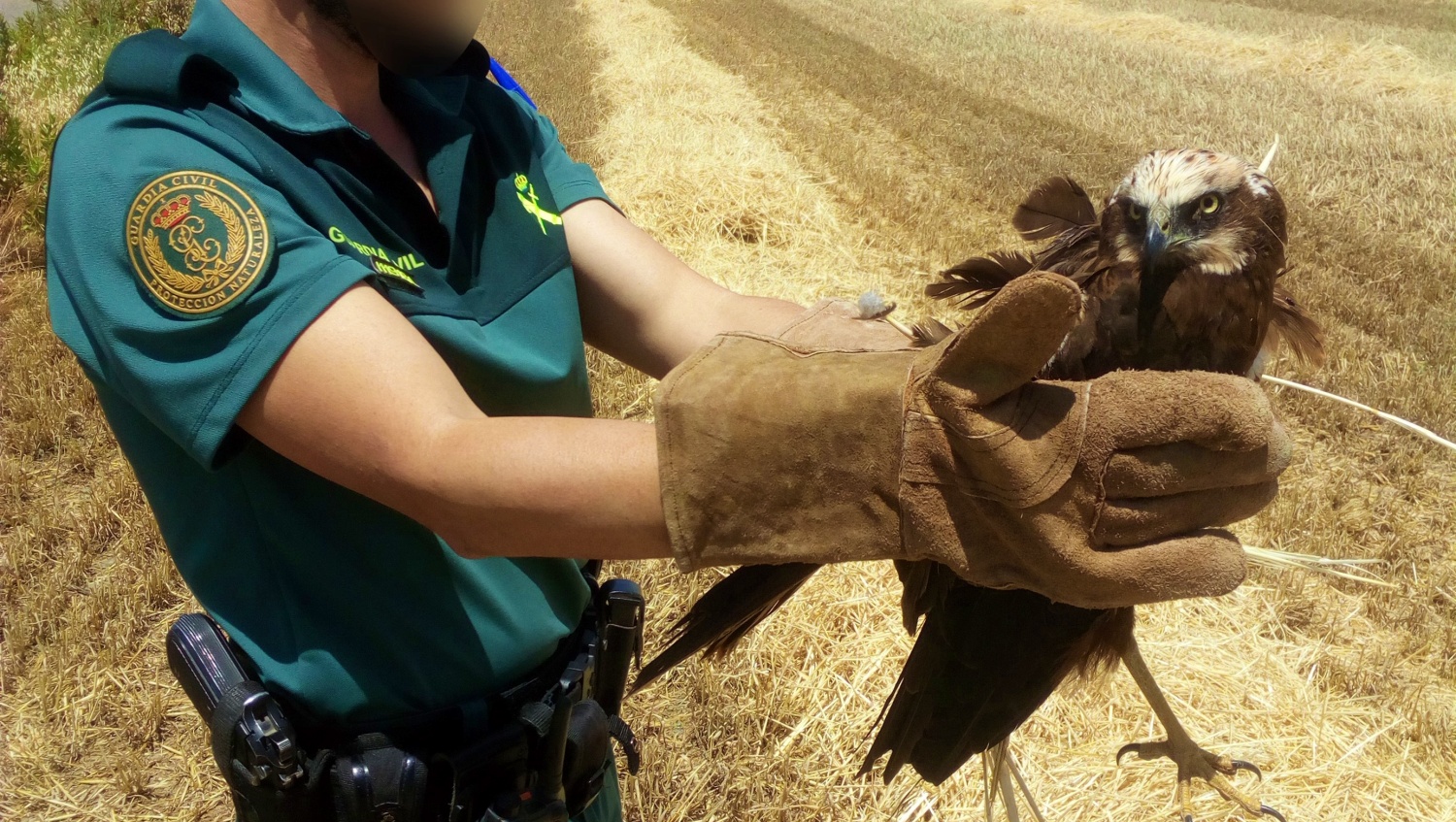 Noticia Castilla-la mancha