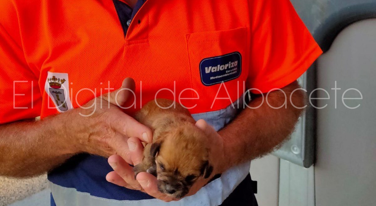 noticias albacete