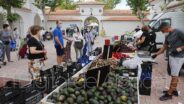 Noticias Albacete