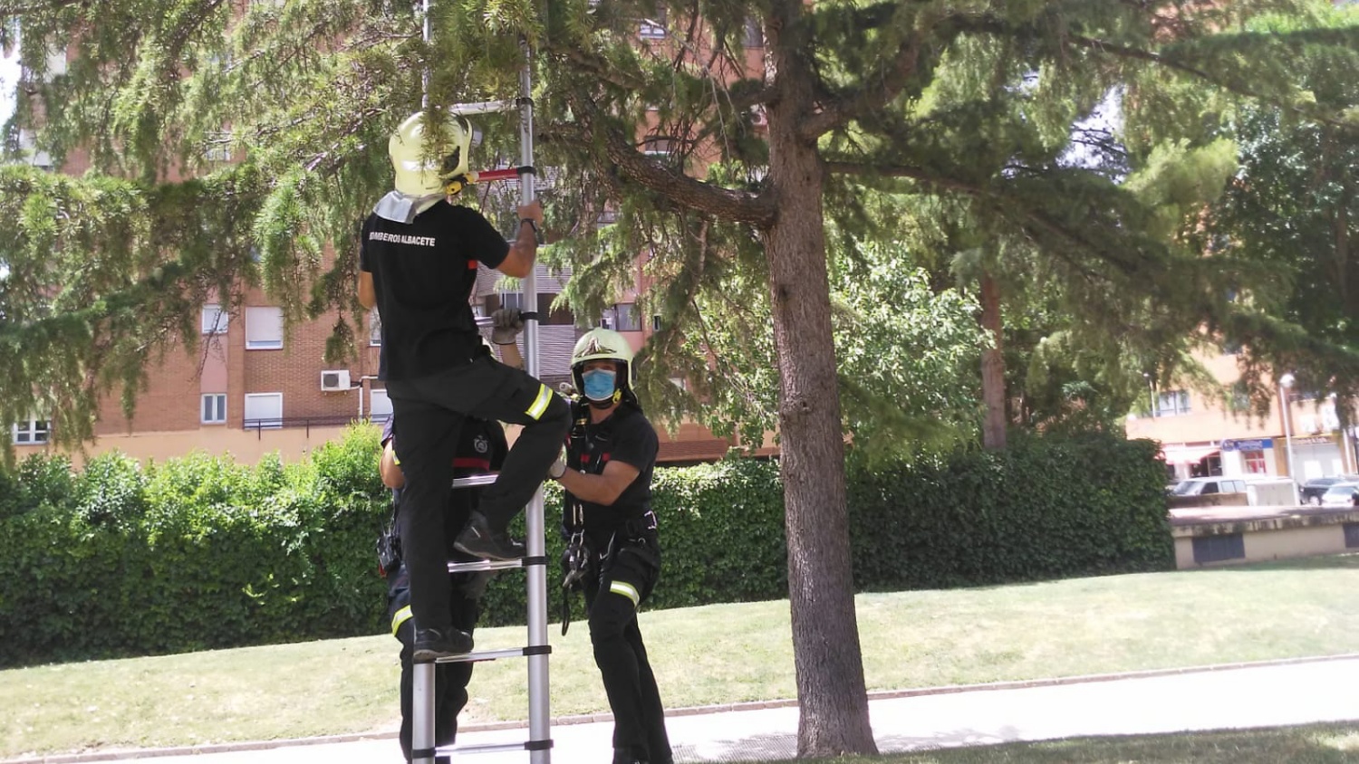 Noticias Albacete