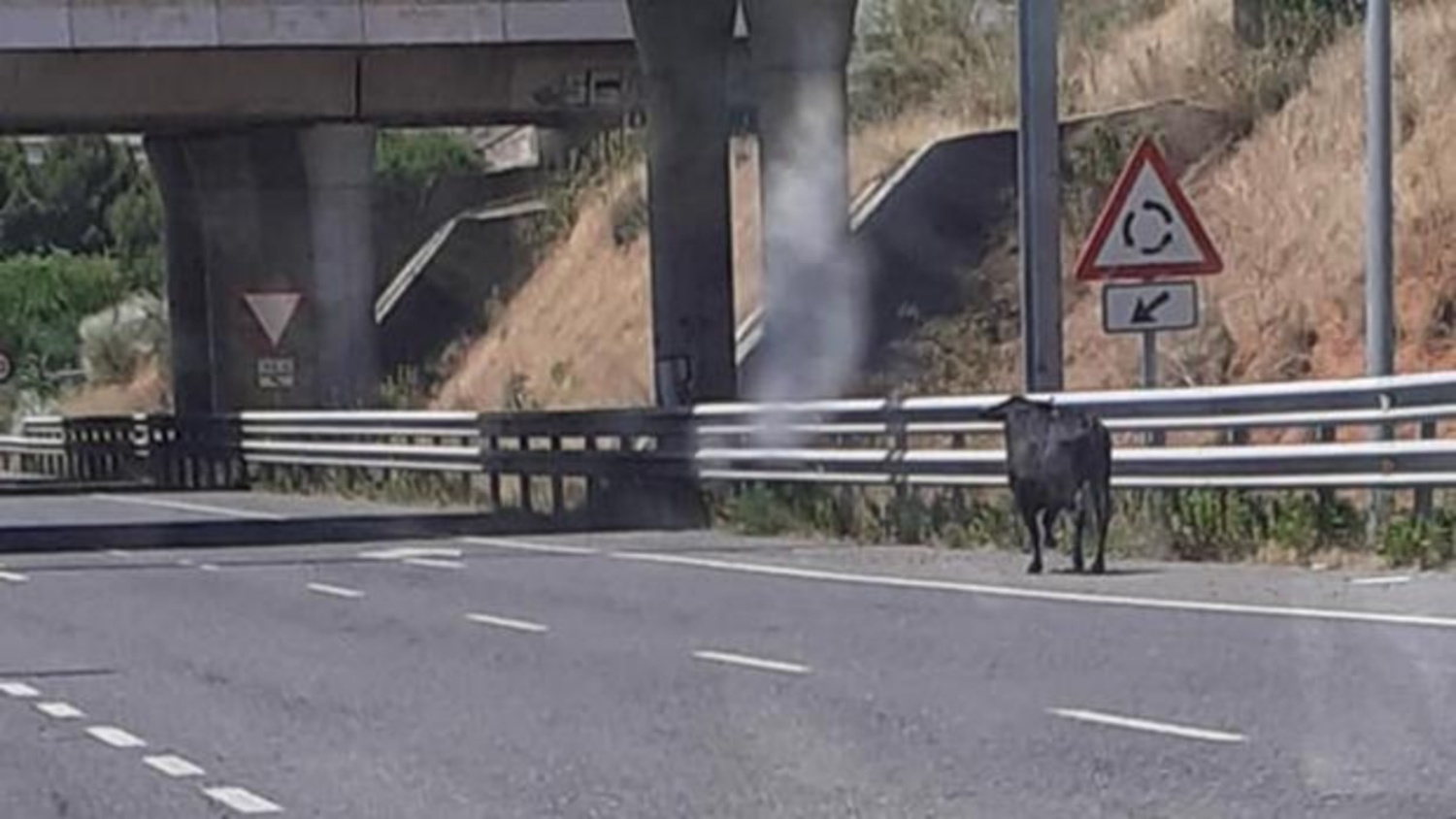 Noticias Castilla-La Mancha