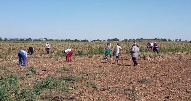 Noticias coronavirus Castilla-la mancha
