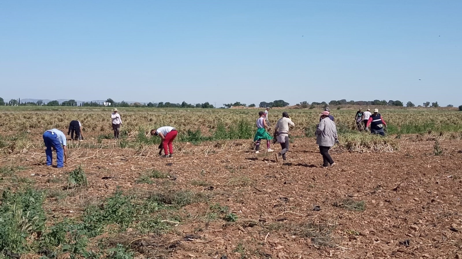 Noticias coronavirus Castilla-la mancha