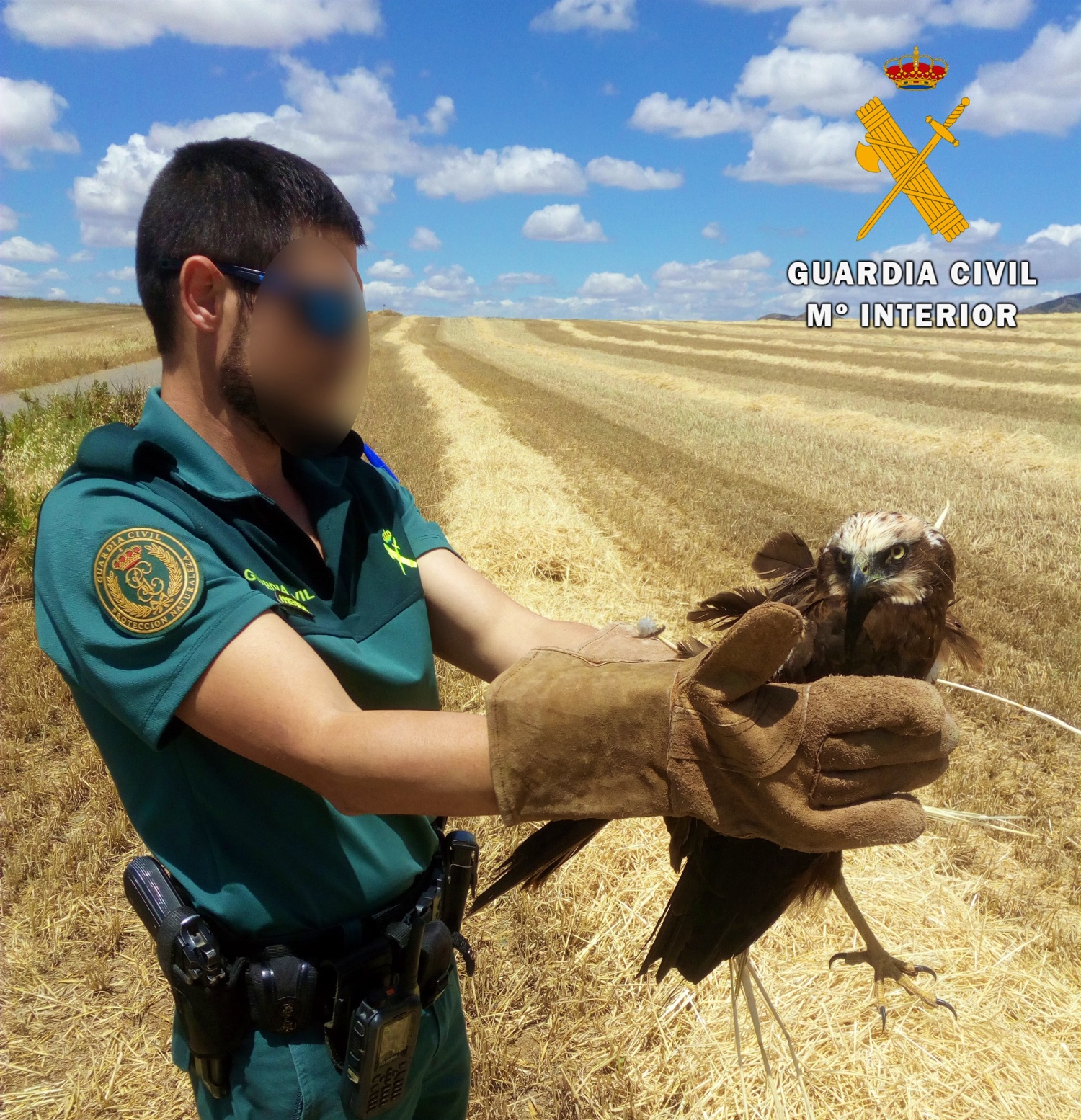 Noticias Castilla-La Mancha